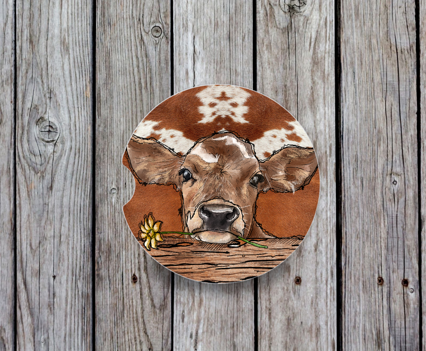 Calf - Brown and White