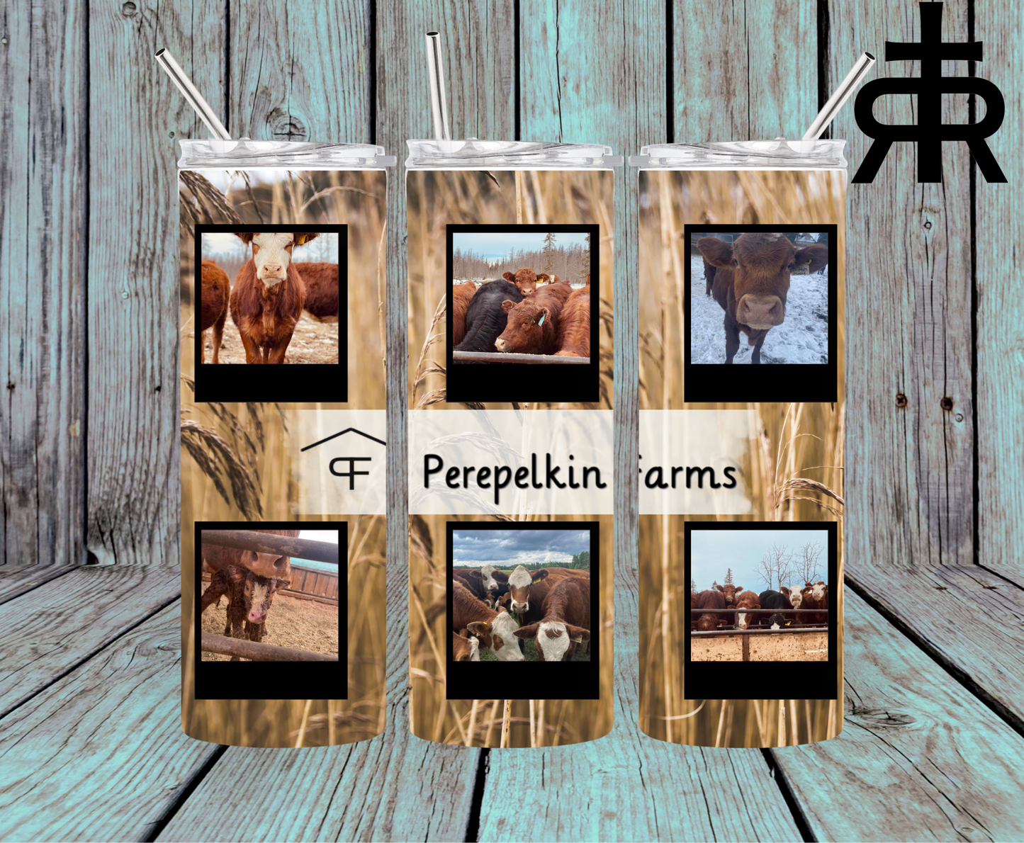 Perepelkin Farms - 6 Cows