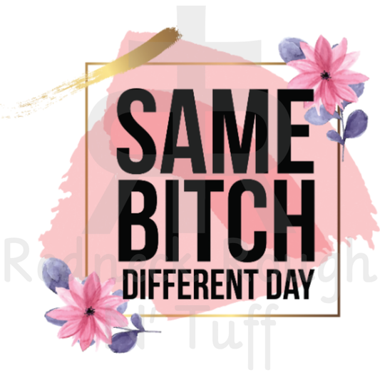 Same Bitch Different Day